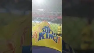 David Warner Reacting to Fans 😸💗 #davidwarner