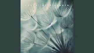 Whispers of Transformation