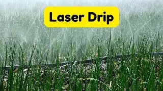 Laser Drip Irrigation System | SKG 100-Ton Meeting 24/04/2022
