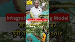 Organic Integrated Farm Model: खर्च न के बराबर, कमाई अच्छी | #shorts