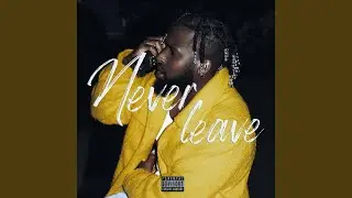 Never Leave