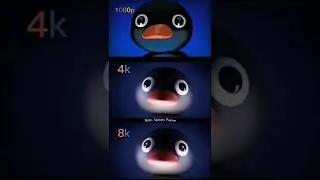 Noot Noot penguin 8k #meme #nootnoot #nootnootmeme