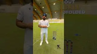 Cricket Blindfolded Challenge 🏏🫣