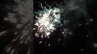 OLD OL' 36 SHOT 500 GRAM FIREWORK CAKE #firework #pyro #bestfireworks #pyrotechnic #fireworksdisplay