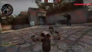 COFFIN DANCE CS