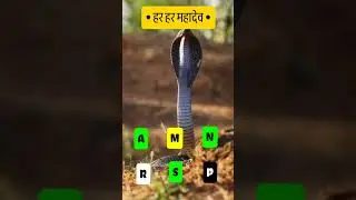 दिव्य दर्शन🐍| हर हर महादेव🔥| #Shorts #Youtubeshorts #Wildlife #shortsfeeds #foryou