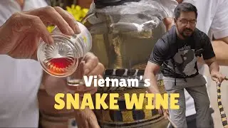 Snake Wine in Vietnam: Cultural Tradition or Extreme Drink?