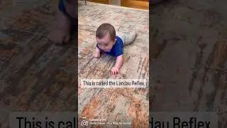 Unleash Your Baby's Superpowers: Understanding the Landau Reflex 💪