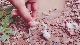 New Clianup Collins Animals Kusum Toy             Mini Food Recipe