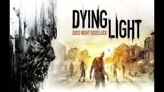 Dying Light (53)