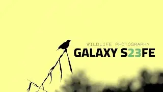 Is Mobile Enough For Wildlife Photography ?? Galaxy S23FE 