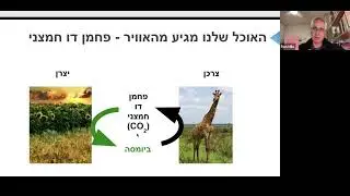 דיאטה שהעולם יאהב: חיידקים שאוכלים פחמן מהאוויר ואנשים שאוכלים אותם - פרופ' רון מילוא