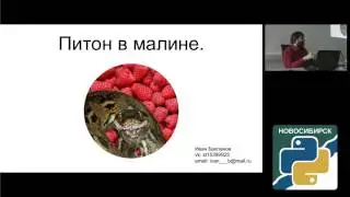 Питон в малине