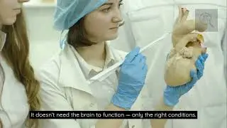 Rare Human Body Facts You Never Knew - ( Truly Shocking!! )