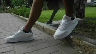 Adidas Courtmaster | On Feet | Chacla Tabas