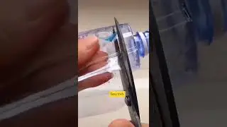 Grow Onions in a Water Bottle! 🌿💧 (NO SOIL REQUIRED!)