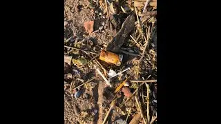See Staten Island's Dark Guardian cleaning the beach at Wolfe's Pond Park