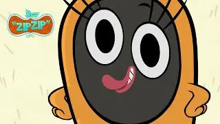 Et voilà ! | Zip Zip français | Episodes complets | 100m | S1 | Dessin animé pour enfants