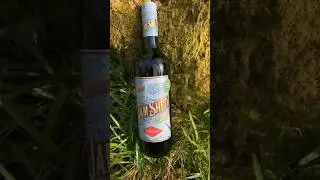 Unboxing & Reviewing Jam Shed Tempranillo Red Wine  #shorts