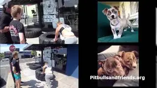 WorkOut San Diego & Samantha Theisen visit Frank Kole of Urbanbody Gym in North Park