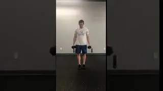 DB alt reverse lunge