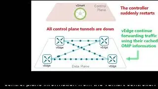 Cisco SD WAN OMP Graceful Restart & Best Path Manipulation Explained!