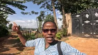 Live From the village,