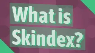 What is Skindex?