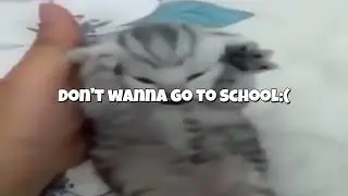 don't wanna go to school:( - by Daniela May (prod.;)ziel)