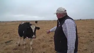 Day in the Life: Brett Morris - Oklahoma Cattle Producer