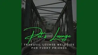 Lounge Grooves for Whiskered Companions