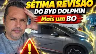 🔴Sétima revisão do BYD Dolphin/mais um B.O