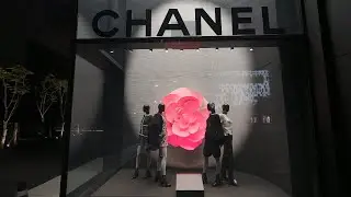Cheongdam Luxury Street and K-Star Road Fashion Street, night Eye shopping | Seoul Korea 4K HDR