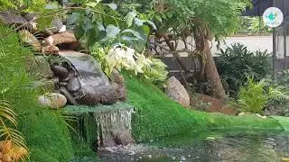 ഞങ്ങളുടെ Aviary യിലെ beautiful fish pond design...