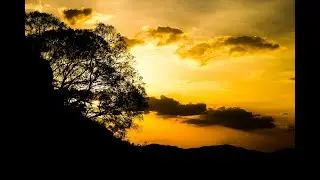 Midnight Sun: A New Song for 2026__ #music #newsong #new #songs #newmusic #singer #dance #dancesong