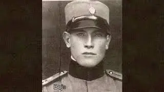 Дражине војводе током Другог светског рата