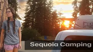Dispersed camping in Sequoia