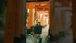 Le mie foto analogiche del Giappone 🇯🇵 #giappone #guidadiviaggio