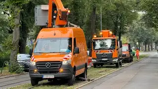 SEV im Herbst 2024 in Erfurt ?!