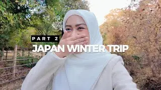 JAPAN WINTER VLOG 🇯🇵 Part 2&bull;Off to Osaka & Kyoto | Nara,Universal Studio Japan, Arashiyama & else!