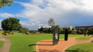 Taree