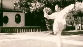 Wang Ziping Lineage Cha Boxing by Hu Hanping (胡汉平)