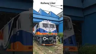 New Special livery from Erode Electric Loco shed WAP7 37462 #shorts #train #wap7 #special #viral