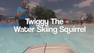 Splash Kingdom Waterpark Presents Twiggy