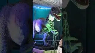 Summit & Sierra @ the Dinosaurs Alive Exhibit 2025