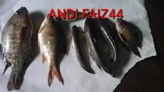 Paser mania baru 2021.paser vs casting di pt hiu