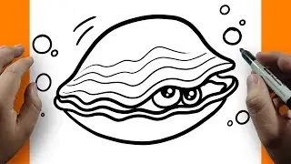 How to Draw a Cute Clam Shell Step by Step Easy for Kids