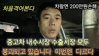 중고차 내수  수출시장  이러다  다 망합니다  그래도    이런분이  손님으로 와서 힘이  납니다  감사 합니다