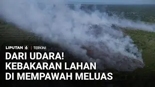 Kebakaran Lahan di Mempawah Kalimantan Barat Meluas, Petugas Berjibaku Padamkan Api | Liputan 6