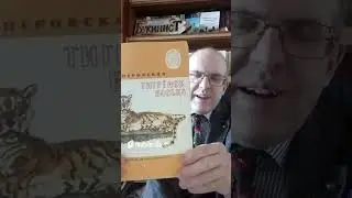 Тигренок Васька